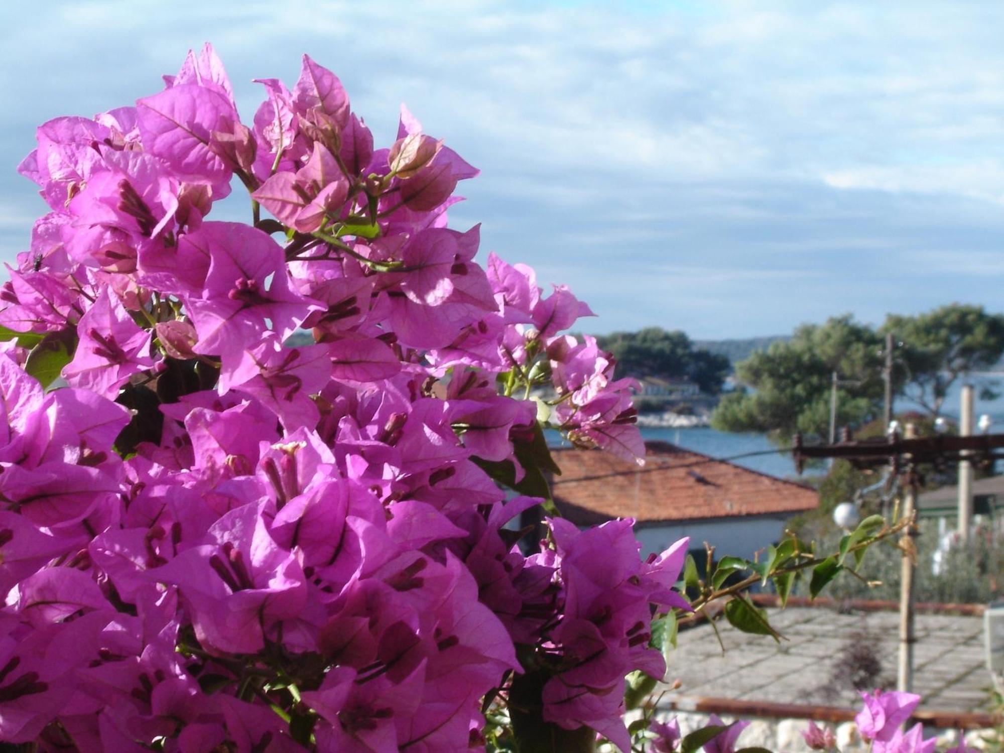 Apartmani Luna Hvar Town Exterior foto
