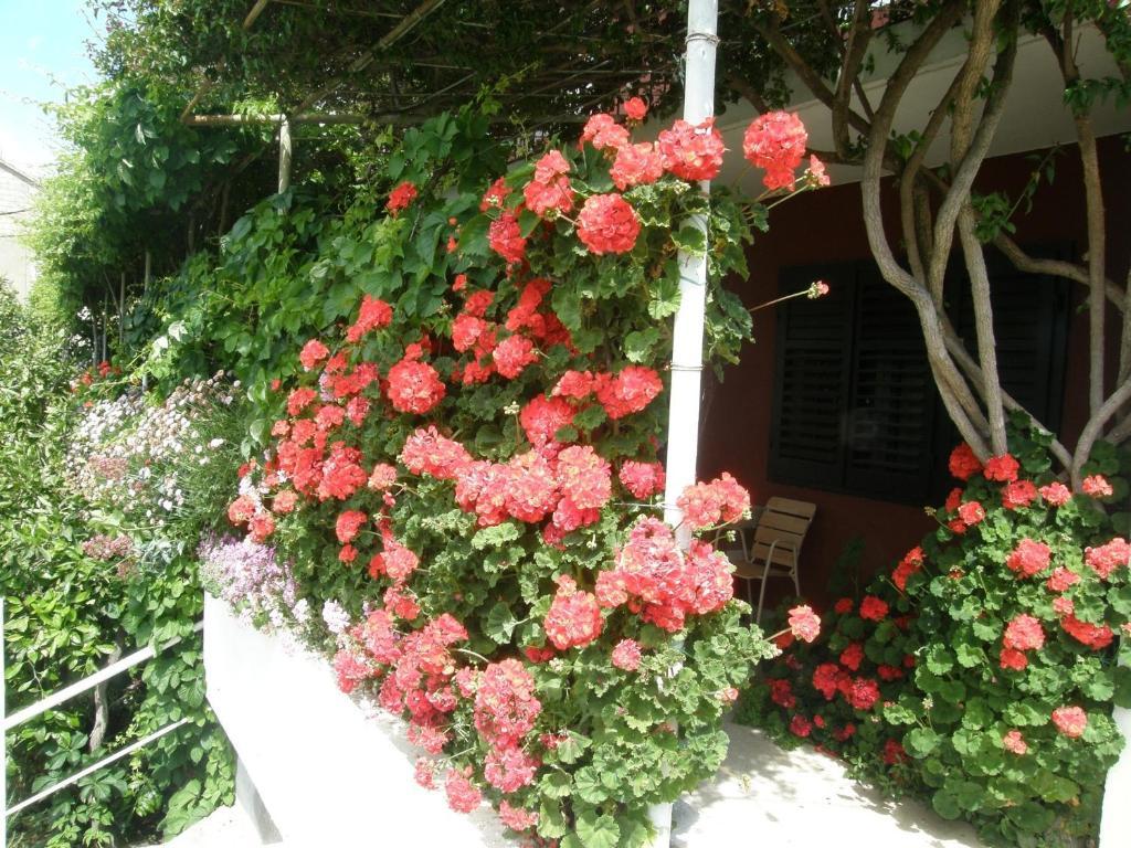 Apartmani Luna Hvar Town Exterior foto